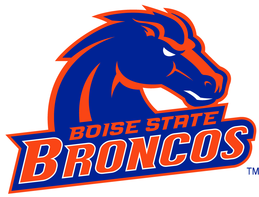 Boise State Broncos 2002-2012 Secondary Logo v20 t shirts iron on transfers
